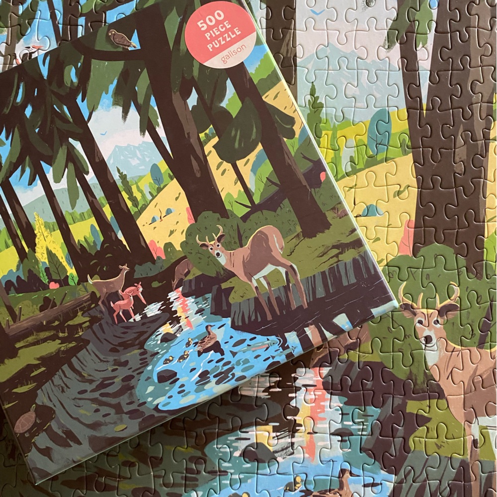 Woodland Pass Galison Puzzle - 500 Pieces